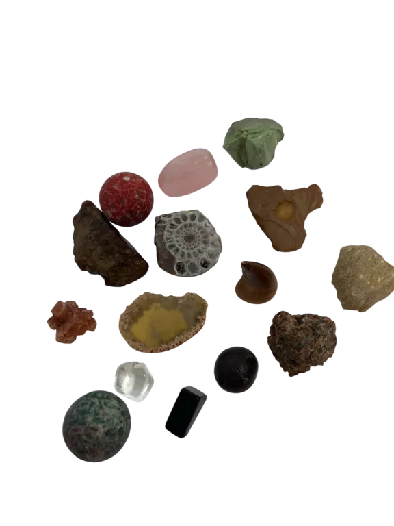 PUDEŁKO Z KAMIENIAMI SZLACHETNYMI, MINERAŁAMI KRZEMIENIEM I ZĘBEM MOZOZAUR
