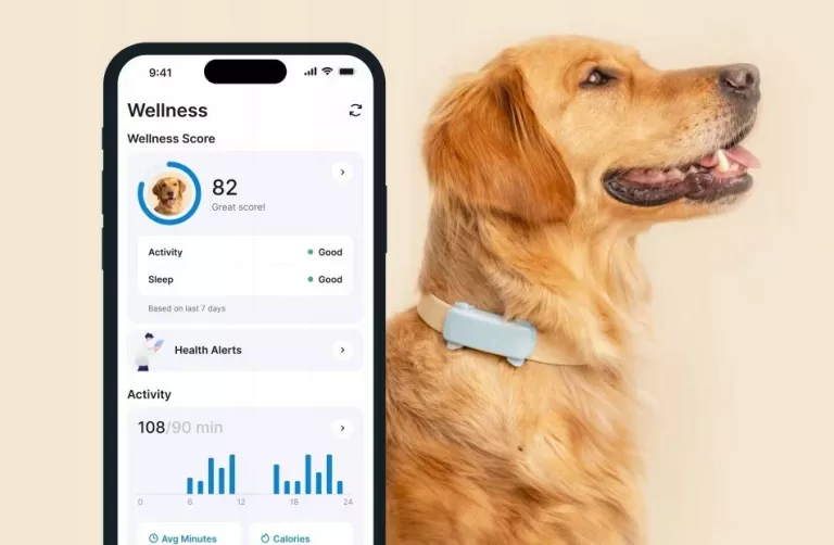 LOKALIZATOR GPS DLA PSÓW TRACTIVE GPS & HEALTH DOG 6 MIĘTOWY