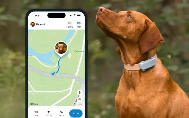 LOKALIZATOR GPS DLA PSÓW TRACTIVE GPS & HEALTH DOG 6 MIĘTOWY