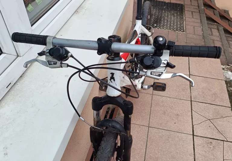 ROWER MTB RALEIGH STORM 2.0 KOŁA: 26"