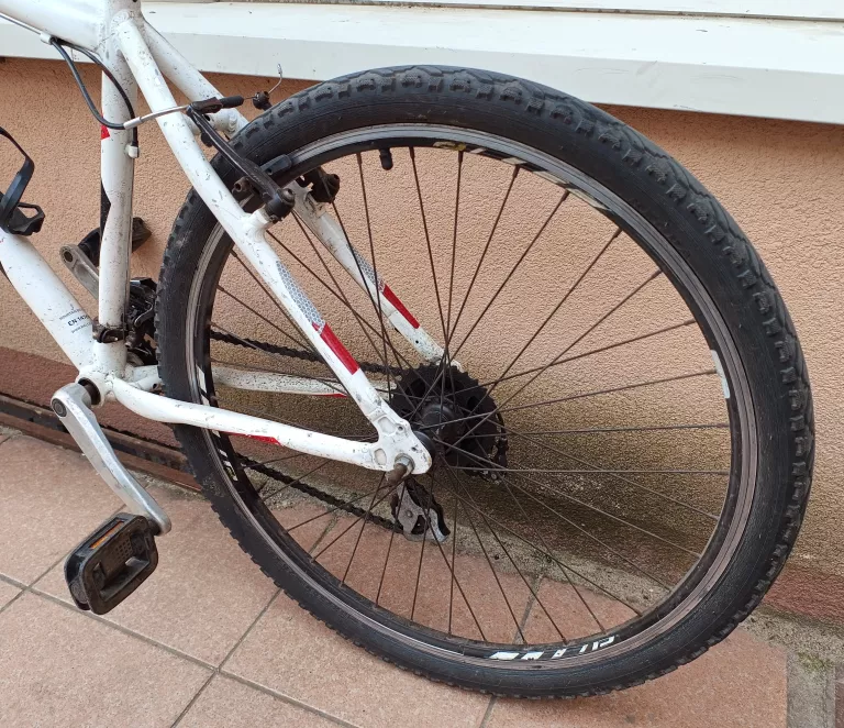 ROWER MTB RALEIGH STORM 2.0 KOŁA: 26"