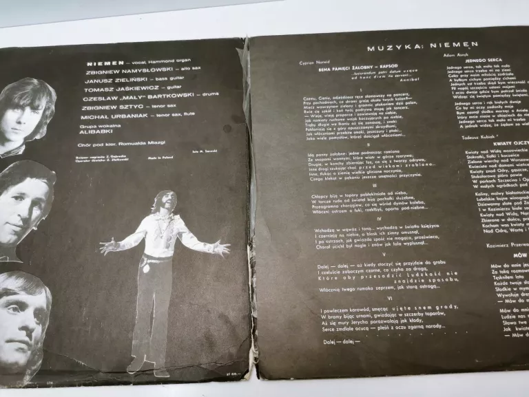 winyl-niemen-enigmatic-gatunek-250078-1797546