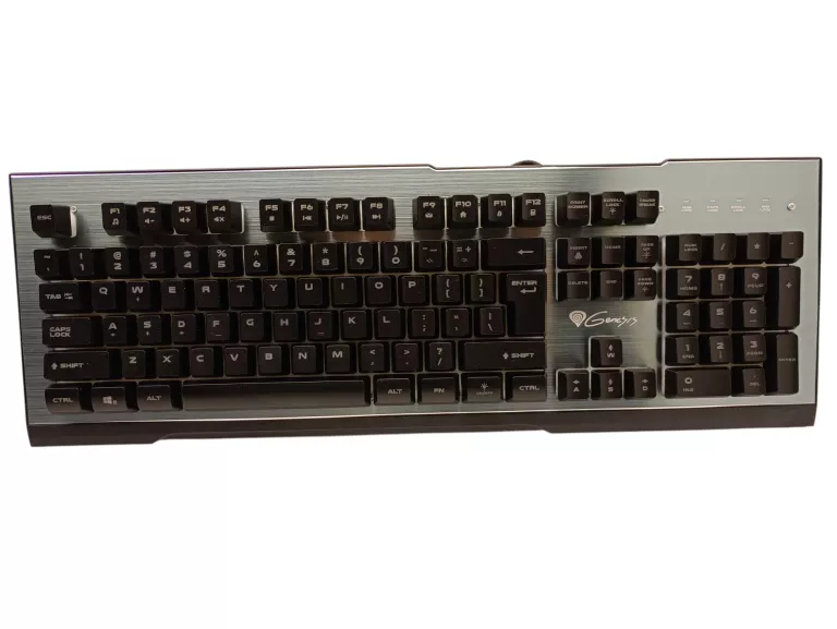 KLAWIATURA GENESIS RHOD 500 RGB