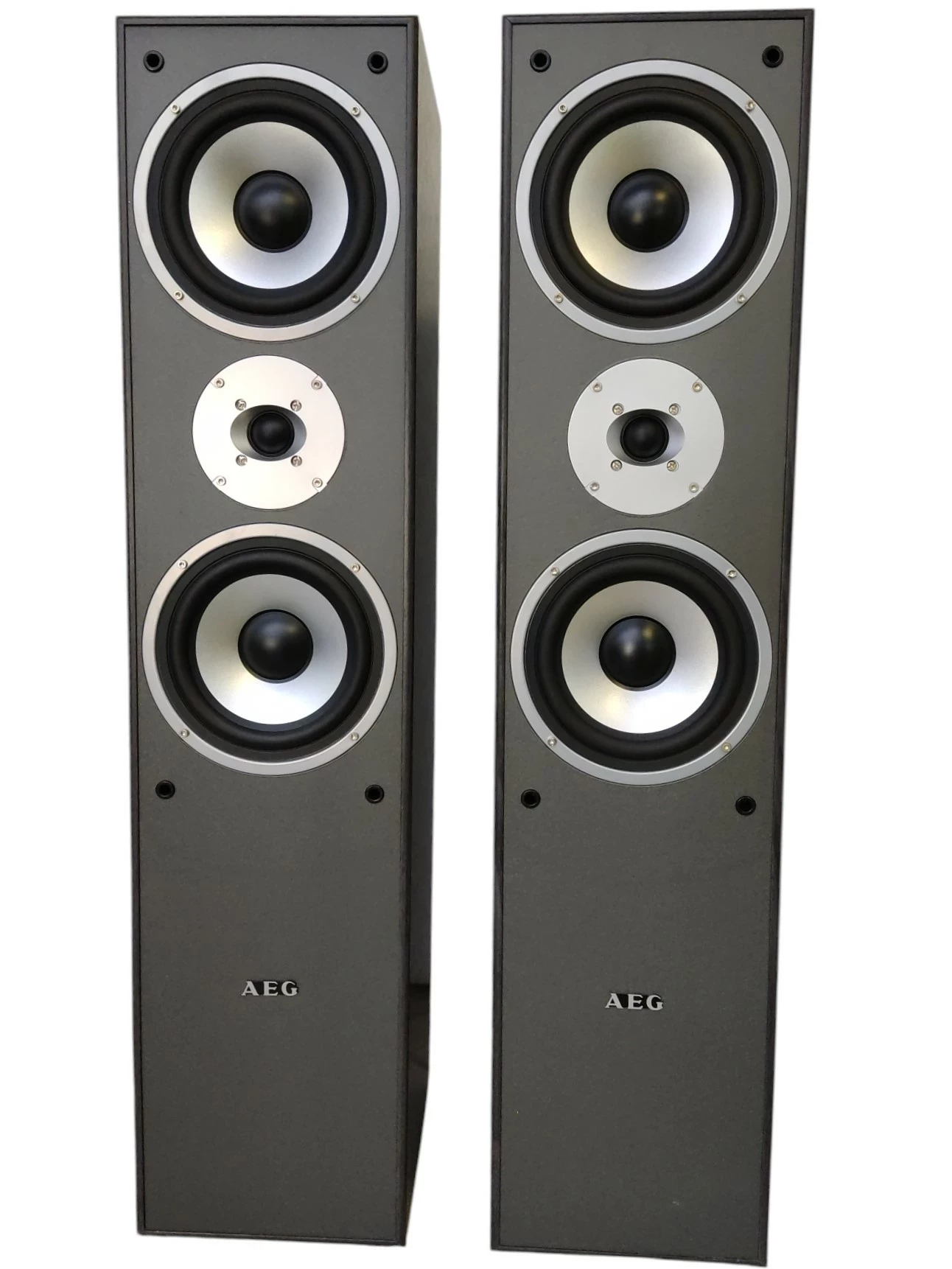 glosniki-wolnostojace-aeg-lb-4711-500w-konstrukcja-208086-8