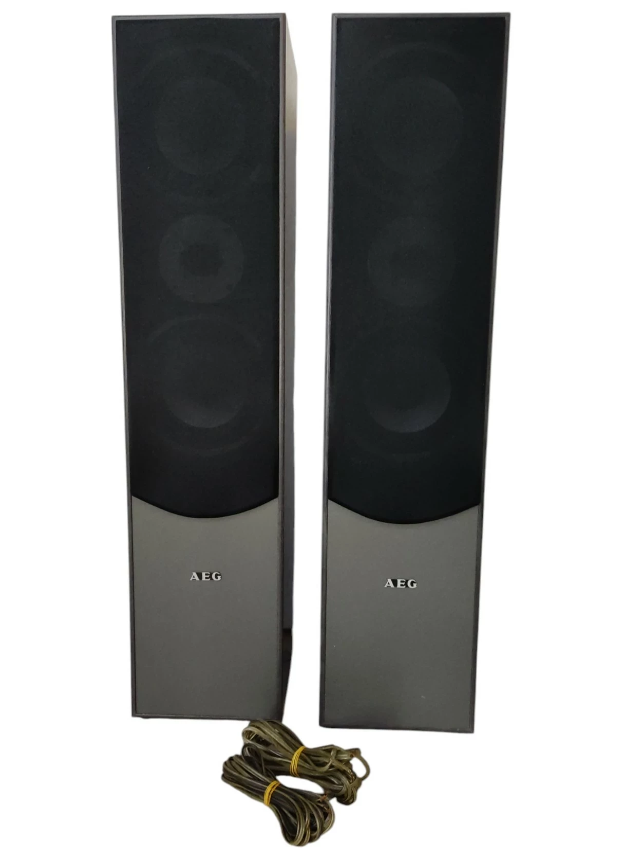 glosniki-wolnostojace-aeg-lb-4711-500w-warszawska-33-mragowo