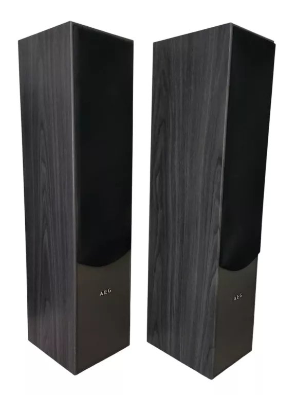 glosniki-wolnostojace-aeg-lb-4711-500w-stan-11323-2