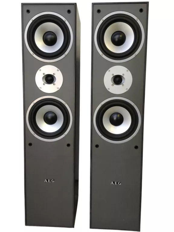 glosniki-wolnostojace-aeg-lb-4711-500w-konstrukcja-208086-8