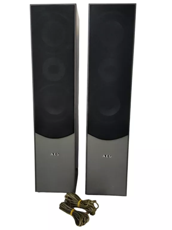 glosniki-wolnostojace-aeg-lb-4711-500w-warszawska-33-mragowo