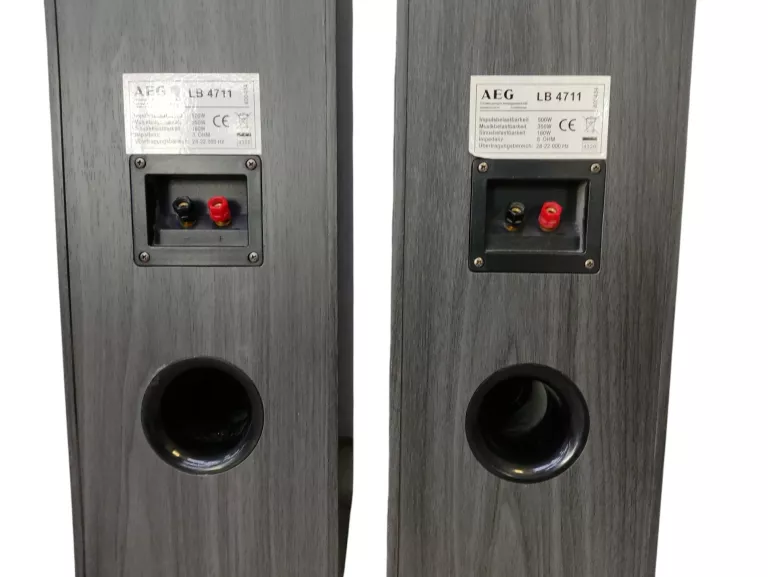 glosniki-wolnostojace-aeg-lb-4711-500w-kod-producenta-lb-4711-czarny