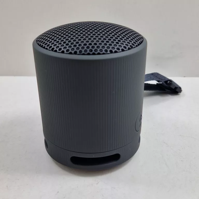 GŁOŚNIK PRZENOŚNY SONY SRS-XB100 CZARNY