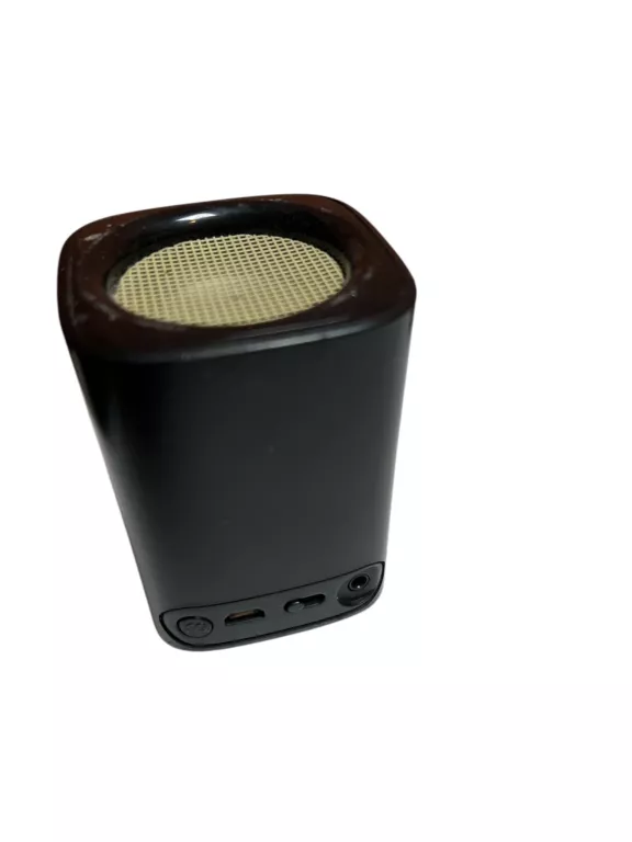 GŁOŚNIK PHILIPS BT100