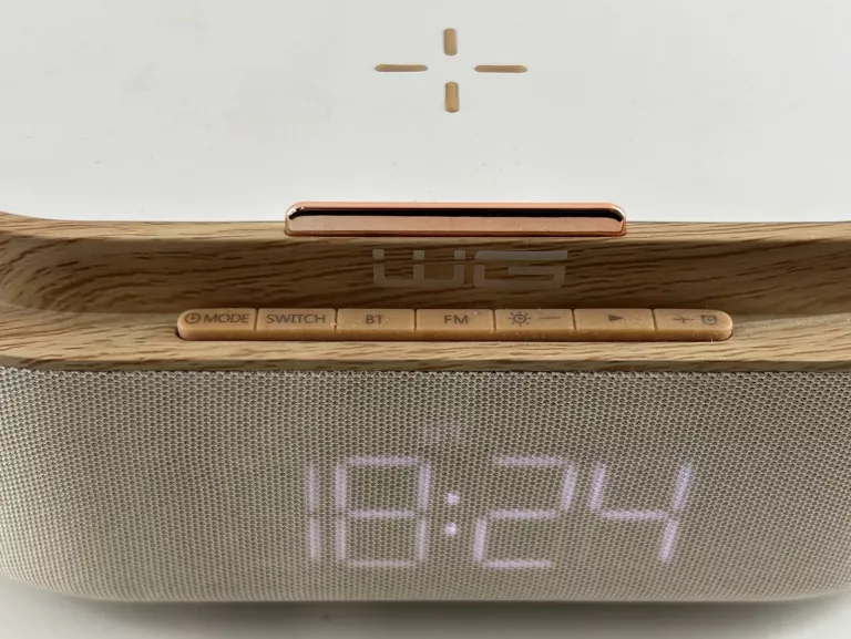 GŁOŚNIK PRZENOŚNY WG S29 KARTON KABEL