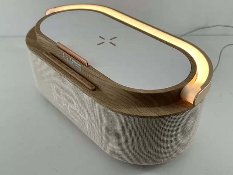 GŁOŚNIK PRZENOŚNY WG S29 KARTON KABEL