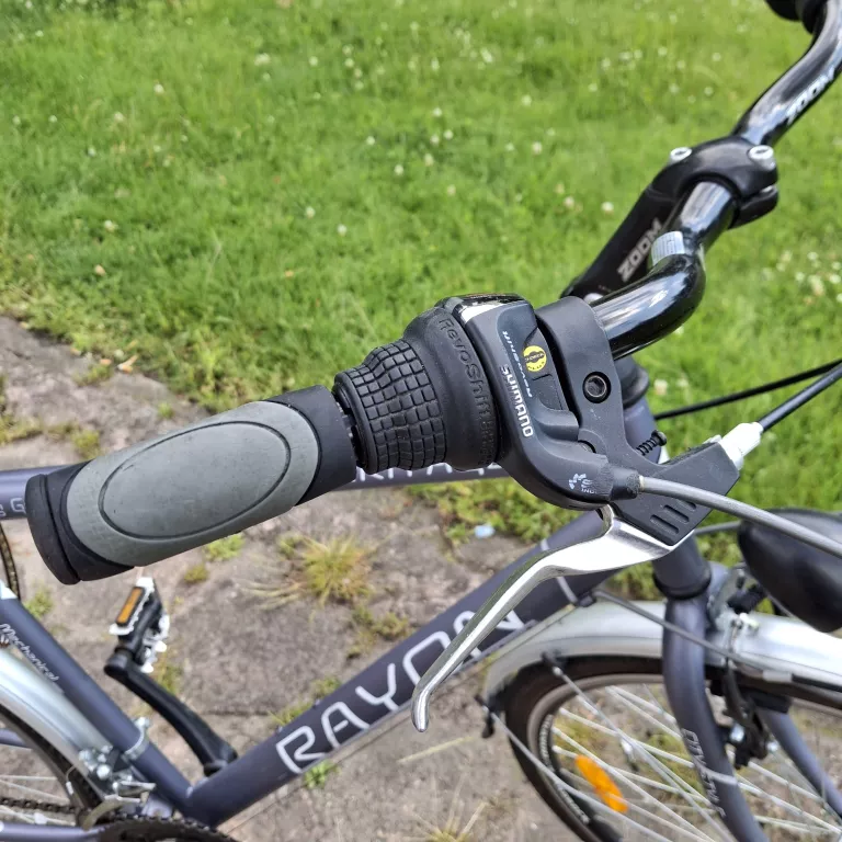 rower-rayon-horritage-trekkingowy-miejski-28-kolo-53cm-21-rama-rozmiar-kola-129289-1024