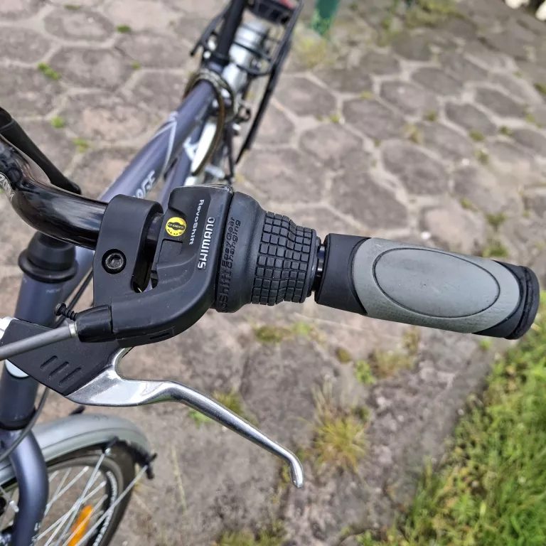 rower-rayon-horritage-trekkingowy-miejski-28-kolo-53cm-21-rama-liczba-biegow-18