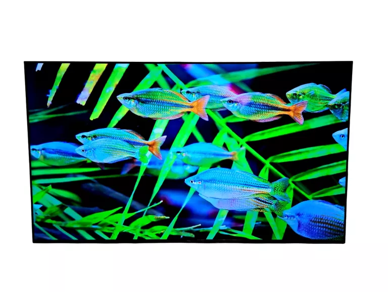 telewizor-tcl-65p635-65-4k-led-uhd-smart-tv-korfantego-4-rybnik-3w