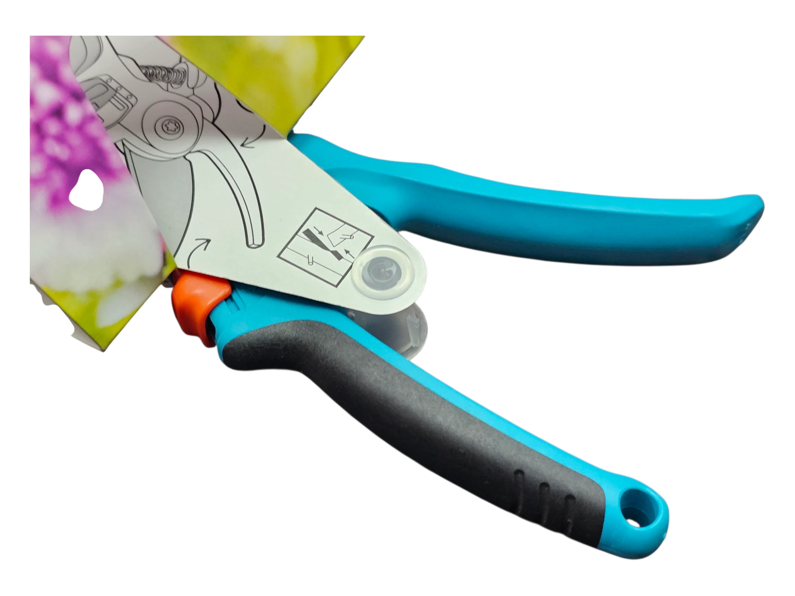 sd