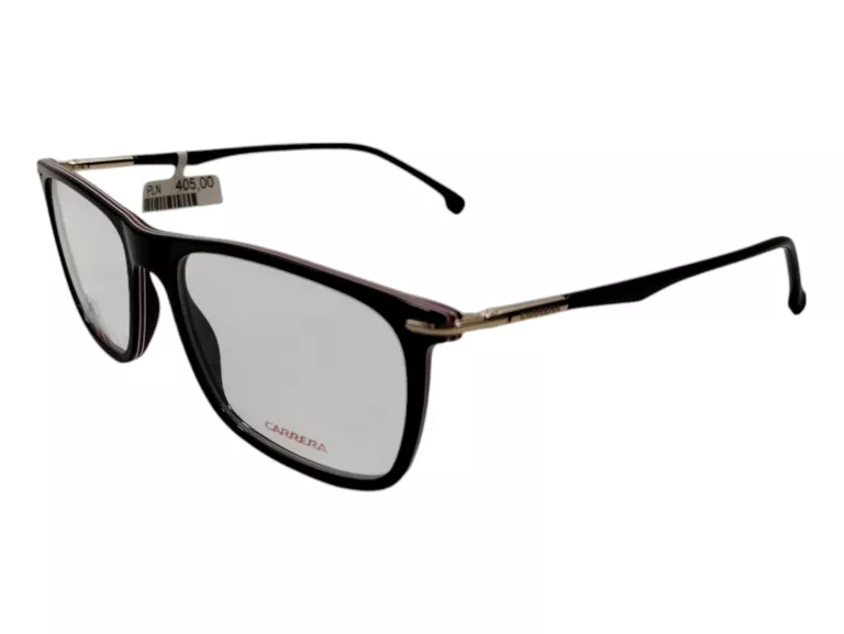 OKULARY CARRERA 289