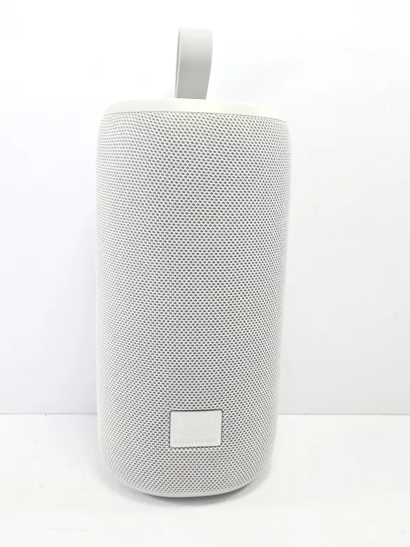 GŁOŚNIK BLUETOOTH FRESH&REBELL 1AR800IG
