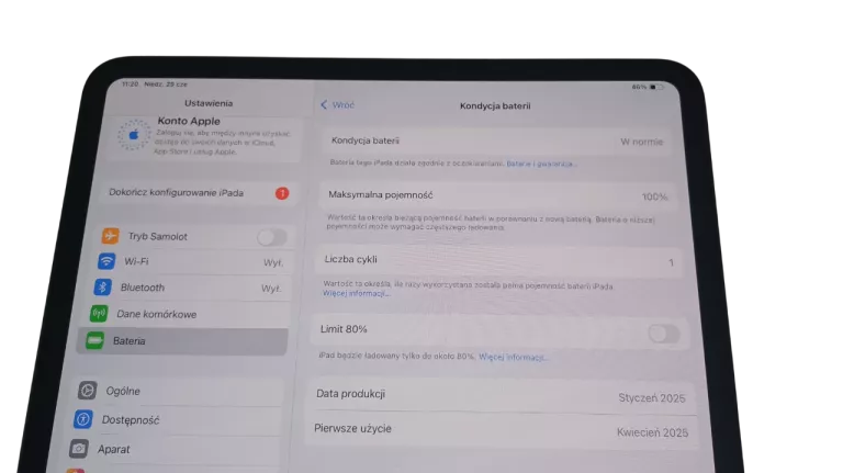 TABLET IPAD PRO 13" M4