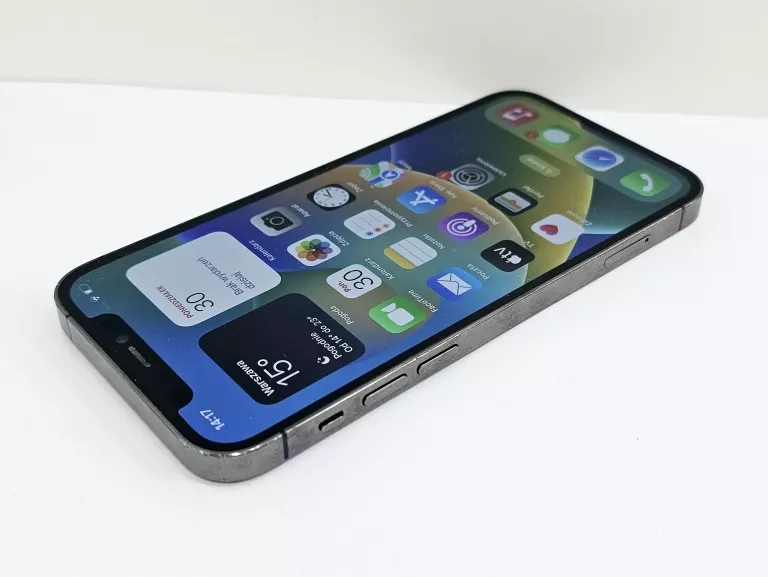 TELEFON IPHONE 12 PRO