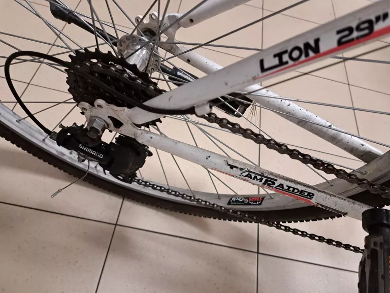 ROWER MĘSKI TEAMRAIDER LION 29 KOŁA 29