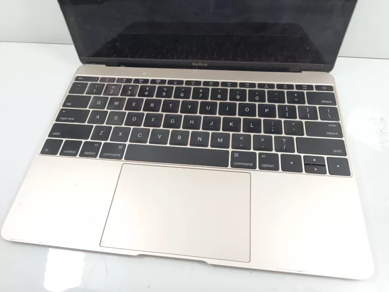 LAPTOP MACBOOK 2015 8GB RAM/256 GB INTEL CORE M1,1GHZ/INTEL HD 5300