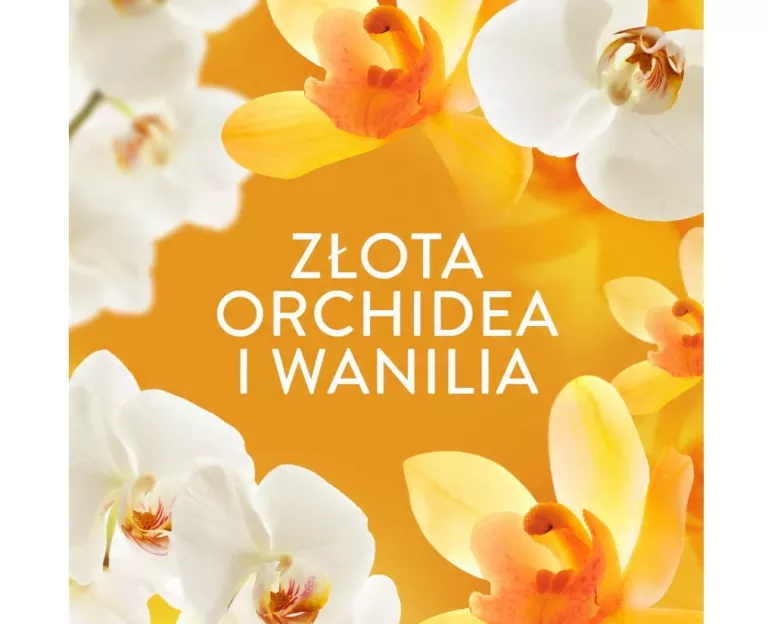 LENOR PEREŁKI ZAPACHOWE 270GGOLD ORCHID VANILLA