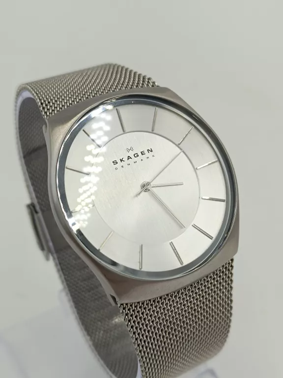ZEGAREK SKAGEN SKW6067