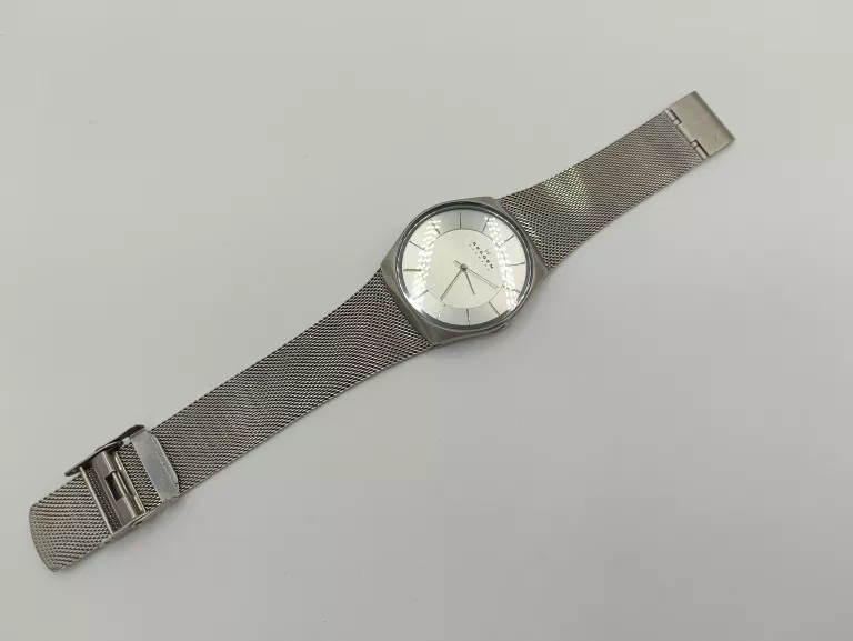 ZEGAREK SKAGEN SKW6067