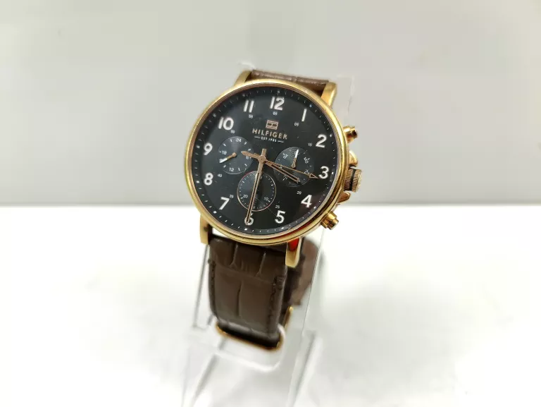 ZEGAREK TOMMY HILFIGER TH.365.1.34.2569