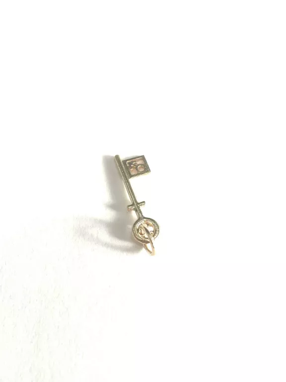 ZŁOTA ZAWIESZKA 585 1,05G