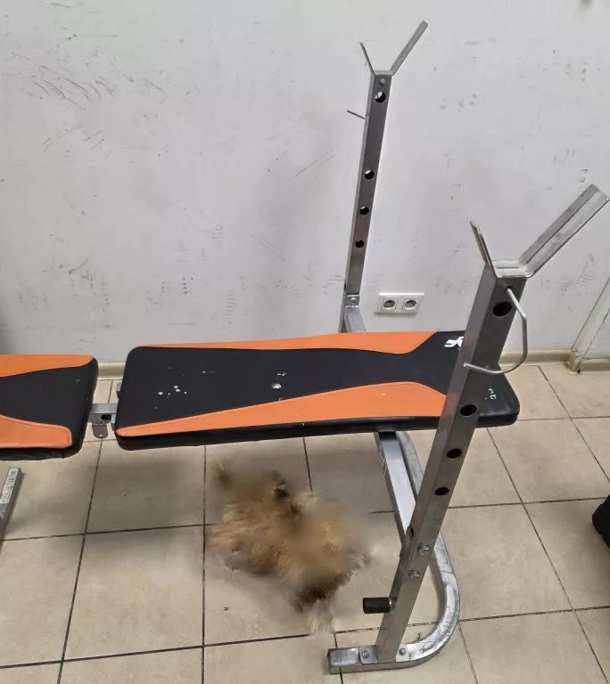 lawka-uniwersalna-total-sport-lp5-przeznaczenie-222429-16