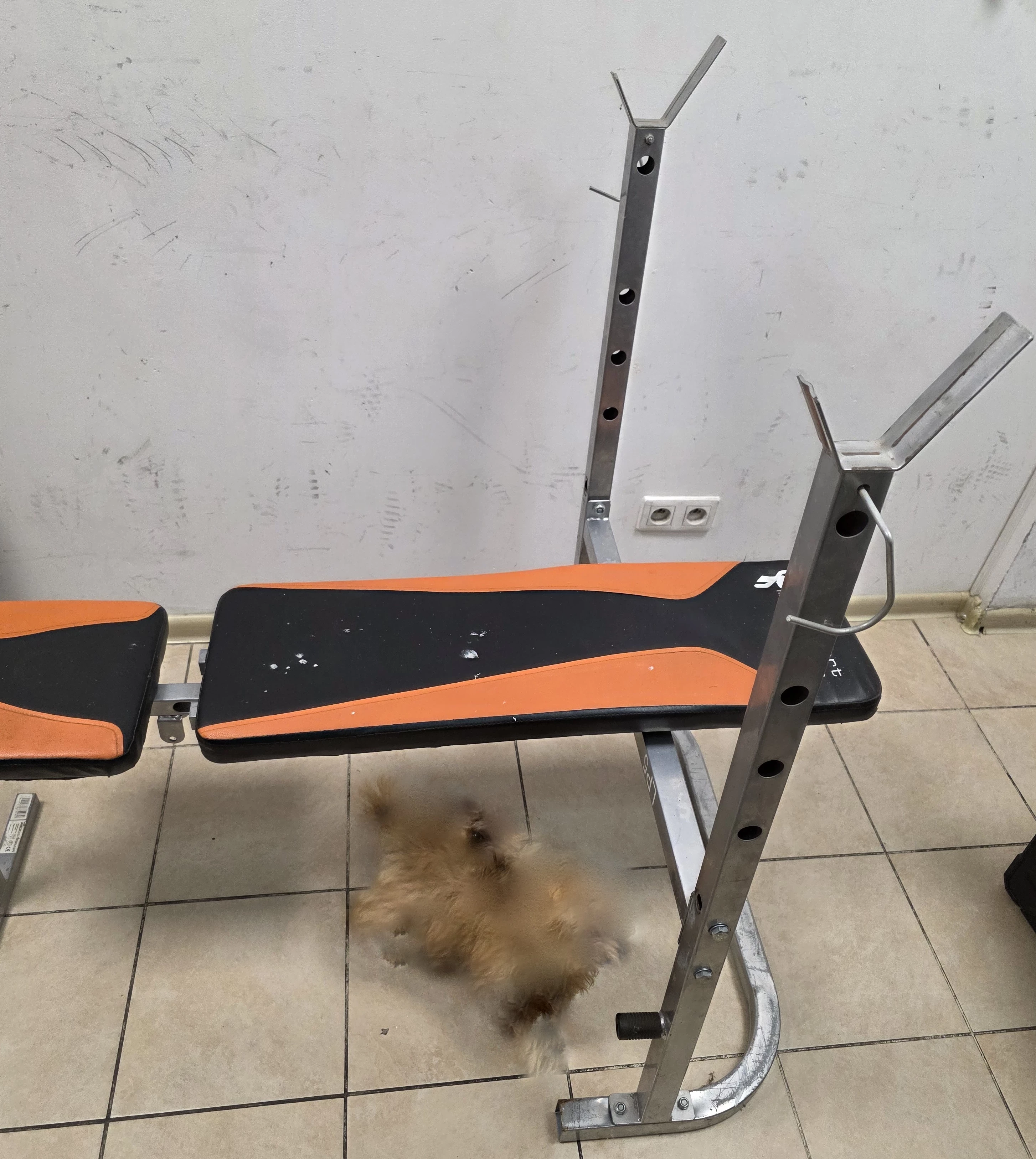 lawka-uniwersalna-total-sport-lp5-przeznaczenie-222429-16