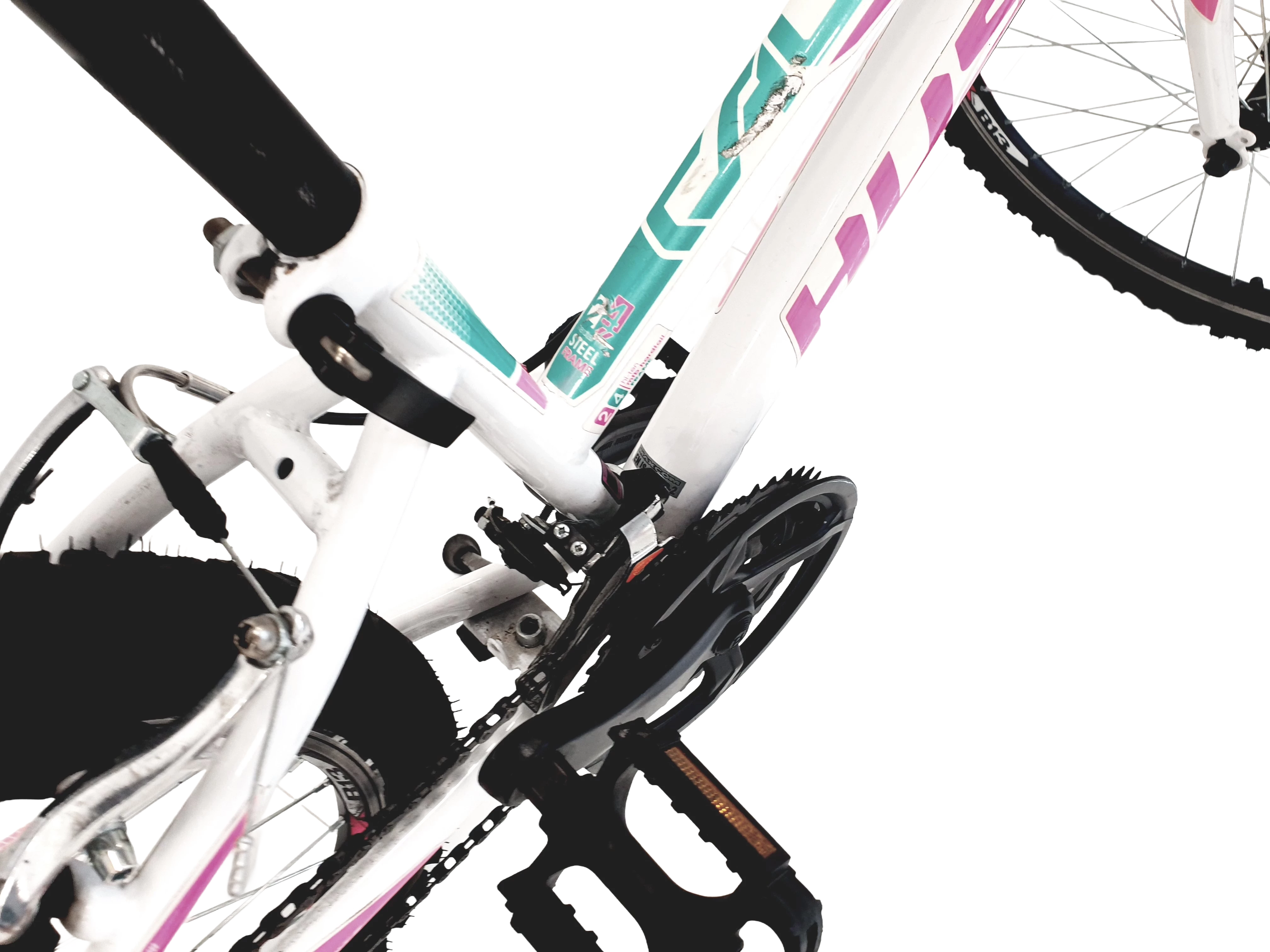 rower-husar-calypso-24-plec-130411-4