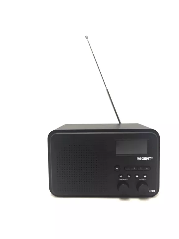 RADIO INTERNETOWE FERGUSON REGENT I100