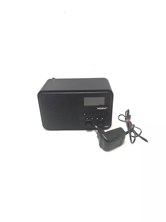 RADIO INTERNETOWE FERGUSON REGENT I100