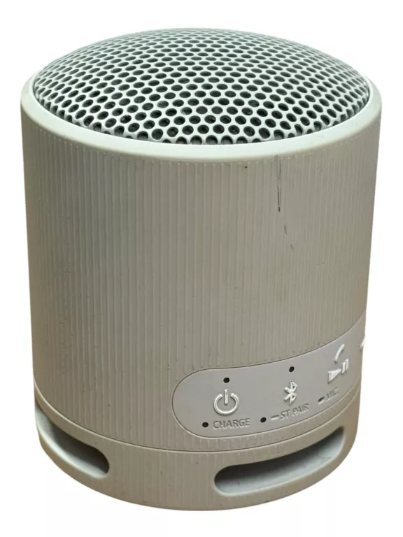 GŁOŚNIK BEZPRZEWODOWY SONY YY7856E SRS-XB100