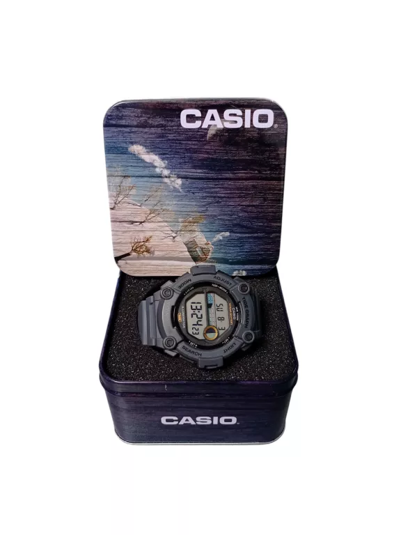 ZEGAREK CASIO WS-1300H