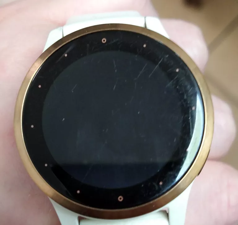 SMARTWATCH GARMIN VIVOACTIVE 4S