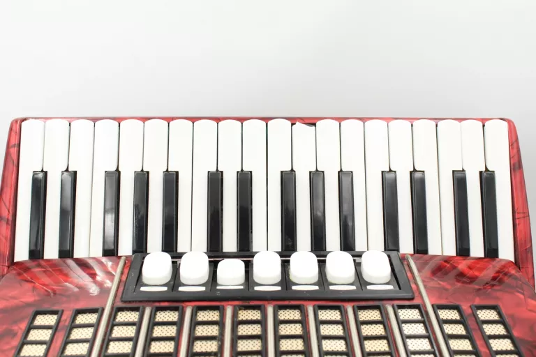 ZADBANY AKORDEON DELICIA ARNALDO IV, 80 BASÓW