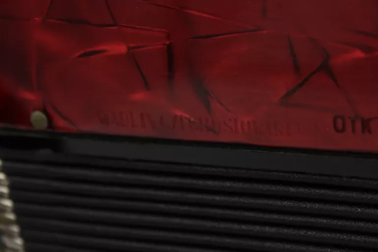 ZADBANY AKORDEON DELICIA ARNALDO IV, 80 BASÓW