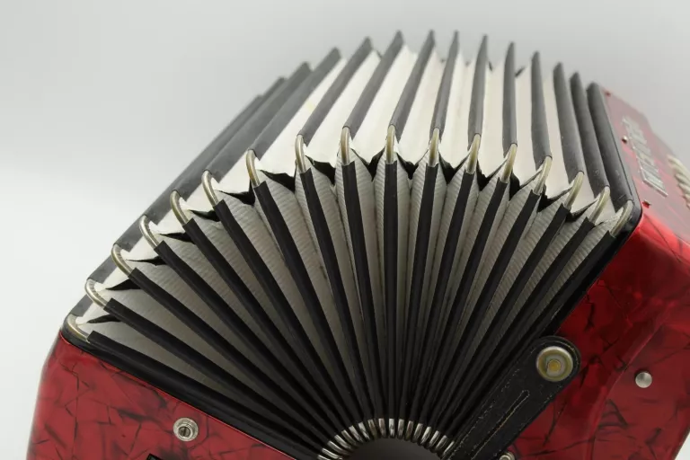 ZADBANY AKORDEON DELICIA ARNALDO IV, 80 BASÓW