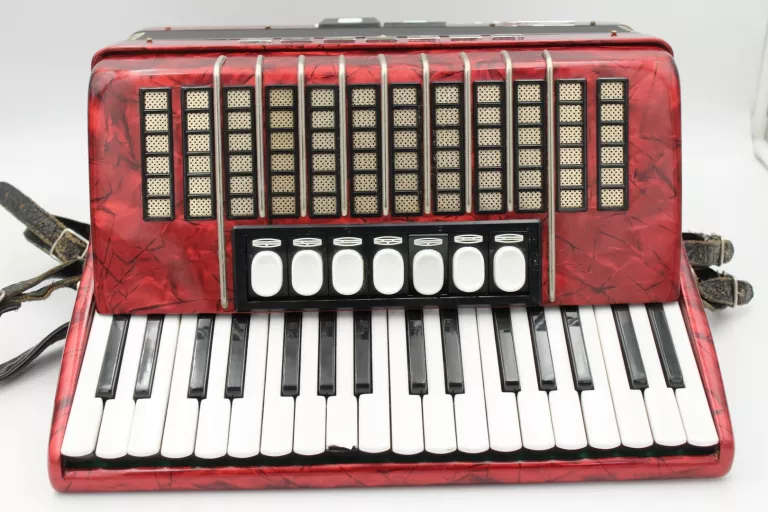 ZADBANY AKORDEON DELICIA ARNALDO IV, 80 BASÓW