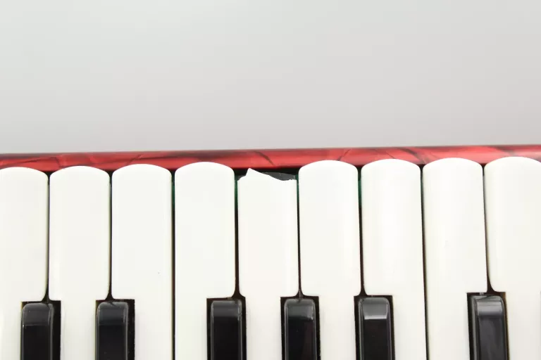 ZADBANY AKORDEON DELICIA ARNALDO IV, 80 BASÓW