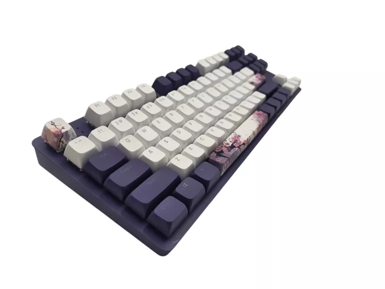 KLAWIATURA MECHANICZNA DARK PROJECT DPO87 VIOLET HORIZONS