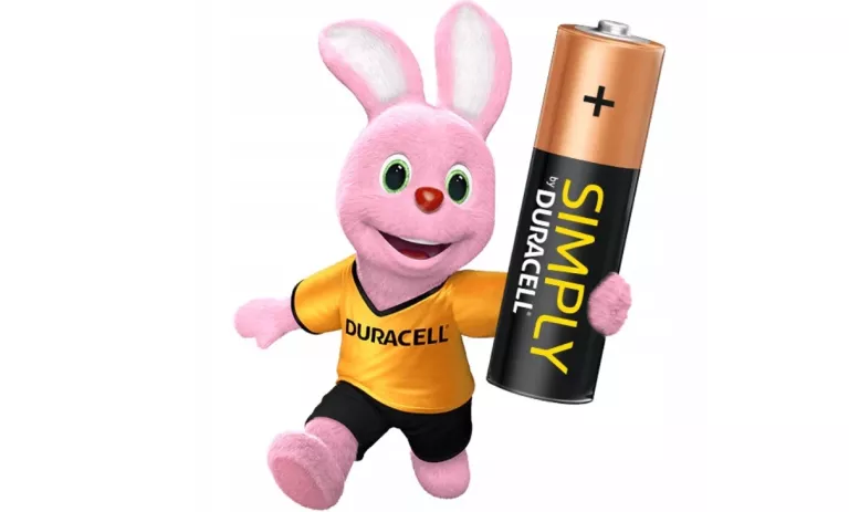 BATERIA ALKALICZNA DURACELL AA (R6) 12 SZT 5000394093812
