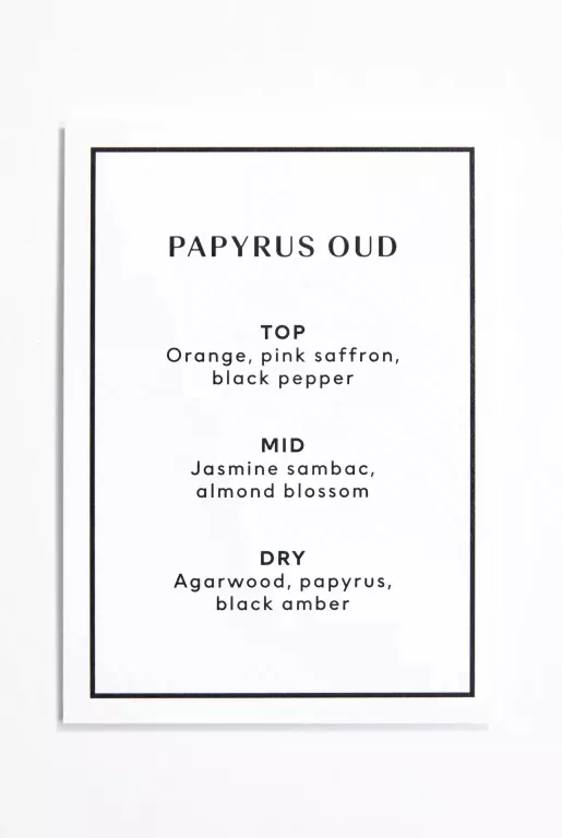 PATYCZKI ZAPACHOWE H&M PAPYRUS OUD REED DIFUSER 120ML.