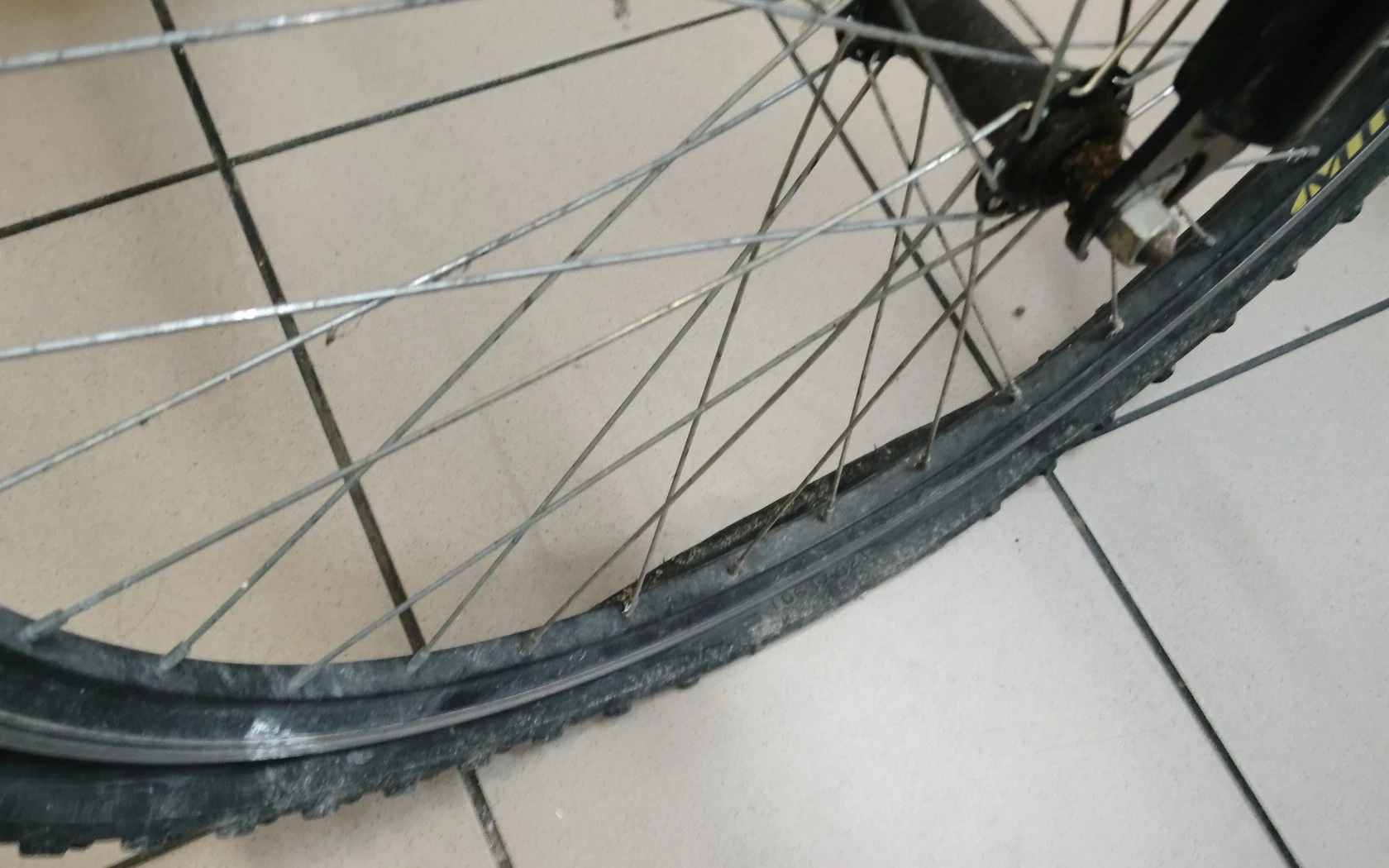 rower-martes-next-material-ramy-179-1