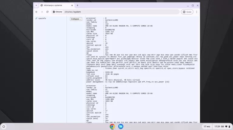 laptop-lenovo-chromebook-s345-14ast-14-amd-a6-4-gb64-gb-emmc-chrome-os-ean-gtin-195042038262
